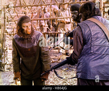 Sterben die Schlacht um Den Planet der Affen, (Schlacht für THE PLANET OF THE APES) USA 1972, Regie: J. Lee Thompson, RODDY McDOWALL, Schlüssel: Gewehr, Waffe, Affe Stockfoto