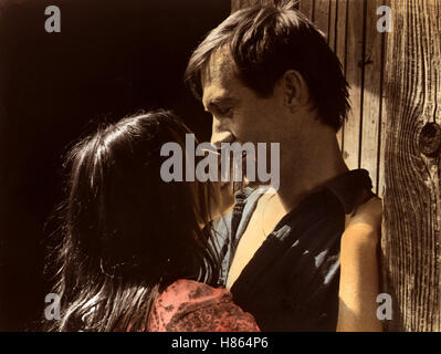 Boxcar Bertha - Die Faust der Rebellen (BOXCAR BERTHA) USA 1972, Regie: Martin Scorsese, BARBARA HERSHEY + DAVID CARRADINE Stockfoto