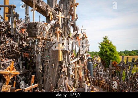 Kreuze auf Hügel der Kreuze (Kryziu Kalnas), Litauen Stockfoto