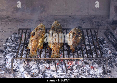 Wolfsbarsch vom Grill der traditionellen dalmatinische Art am Stahlgitter Barren auf harte hölzernen Glut Stockfoto