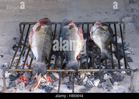 Wolfsbarsch vom Grill der traditionellen dalmatinische Art am Stahlgitter Barren auf harte hölzernen Glut Stockfoto