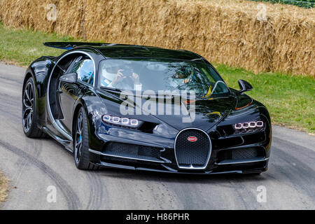 2016 Bugatti Chiron mit Fahrer Andy Wallace auf die 2016 Goodwood Festival of Speed, Sussex, UK. Stockfoto