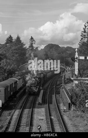 Schwarz 5 45428 (als 45344) und B1 61264 in Goathland auf der North Yorkshire Moors Railway.Welsh Dampf-Gala. Stockfoto