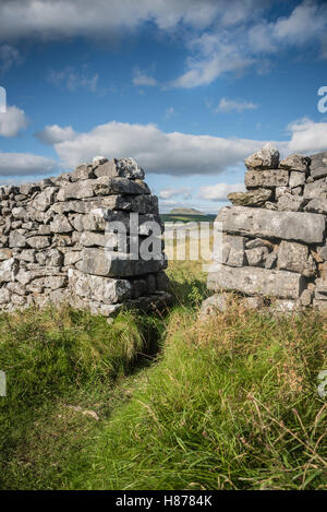 Eine Pause in der Wand hoch über Stainforth, Yorkshire Dales, UK. Stockfoto