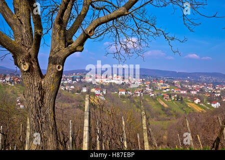 Stadt von Sveti Ivan Zelina in Prigorje, Kroatien Stockfoto