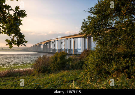 Orwell County Park, Ipswich. England UK. Ein Blick auf die kulturelle Ipswich Wahrzeichen der Orwell Brücke über den Fluss Orwell. Von hoch oben am Ufer des Flusses in der Goldenen Stunde fotografiert kurz vor Sonnenuntergang. Die Brücke ist aus weichem, warmem Licht getaucht. Das Foto ist auf beiden Seiten zwischen Vegetation eingerahmt. Stockfoto