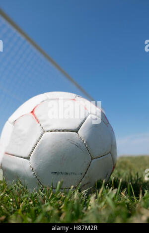 Ein weiße Fußball mit dem Ziel, die Netto im Hintergrund sitzt auf einem grünen Rasen an einem Tag blauer Himmel. Stockfoto