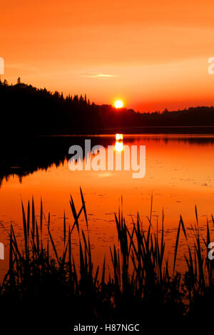 Ein Herbst Sonnenuntergang auf Brewer See in Algonquin Park in Kanada Stockfoto