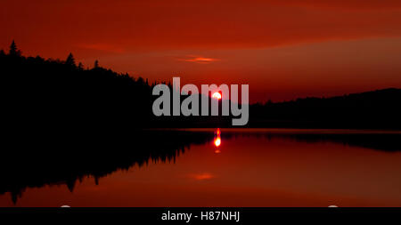 Ein Herbst Sonnenuntergang auf Brewer See in Algonquin Park in Kanada Stockfoto