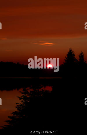 Ein Herbst Sonnenuntergang auf Brewer See in Algonquin Park in Kanada Stockfoto