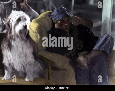In der Gewalt der Unterirdischen, (ein Junge und sein Hund) USA 1975, Regie: L. Q. Jones, DON JOHNSON, Stichwort: Hund, Sessel Stockfoto