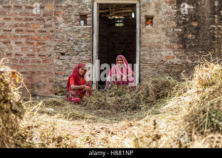 Frau in der Landwirtschaft arbeiten beschäftigt Stockfoto