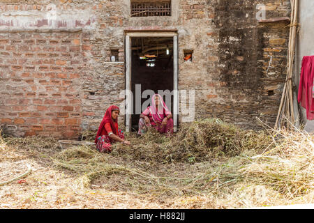 Frau in der Landwirtschaft arbeiten beschäftigt Stockfoto