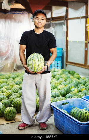 Arbeiter in einem Gewächshaus hält eine Wassermelone. Stockfoto