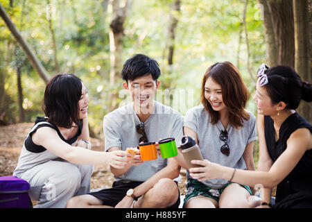 Drei junge Frauen und ein Mann sitzt in einem Wald. Stockfoto