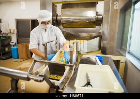 Arbeitnehmer mit Schürze und Hut mit blauen Handschuhen sammeln frisch geschnitten Soba-Nudeln aus dem Förderband. Stockfoto