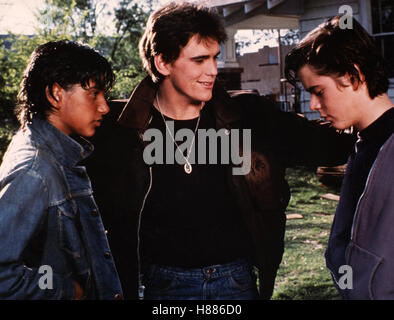 Außenseiter, (die Aussenseiter) sterben USA 1982, Regie: Francis Ford Coppola, RALPH MACCHIO, MATT DILLON, C. THOMAS HOWELL Stockfoto