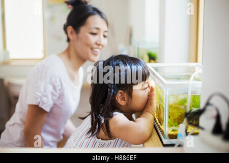 Haus der Familie. Eine Frau und ein Kind, der Blick auf die Fische in einem tropischen Aquarium. Stockfoto