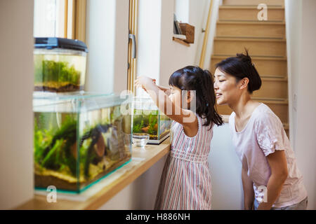 Haus der Familie. Eine Mutter und Tochter, betrachtet man die Fische in einem Aquarium auf der Fensterbank. Stockfoto