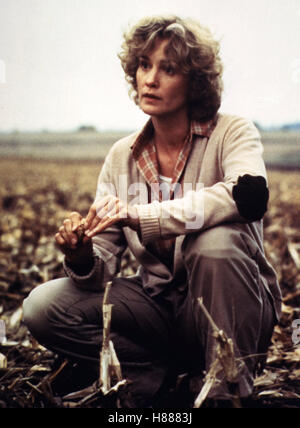 Land (Land) USA 1984, Regie: Richard Pearce, JESSICA LANGE Stockfoto