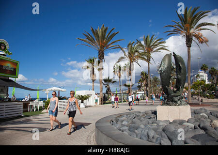 Playa de Las Americas, Teneriffa, Kanarische Inseln, Spanien, Europa Stockfoto