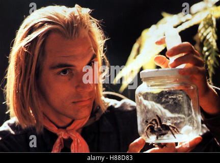 Arachnophobia (SPINNENPHOBIE), USA 1990 Regie: Frank Marshall, JULIAN SANDS, Stichwort: Spinne Stockfoto