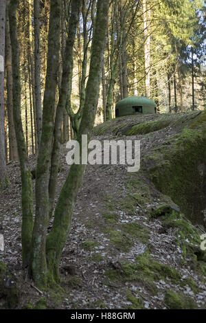 Französischen bunker Ruine in der Nähe Langensoultzbach, Vogesen, Frankreich. Es wurde vor dem zweiten Weltkrieg als Teil der Maginot-Linie gebaut. Stockfoto