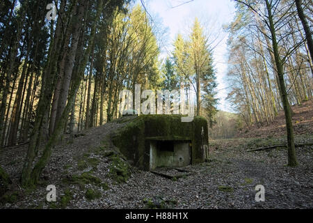 Französischen bunker Ruine in der Nähe Langensoultzbach, Vogesen, Frankreich. Es wurde vor dem zweiten Weltkrieg als Teil der Maginot-Linie gebaut. Stockfoto