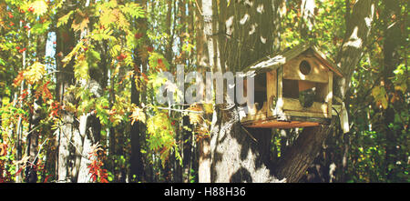 Vogelhaus auf einem Baum in einem Wald im Herbst Stockfoto