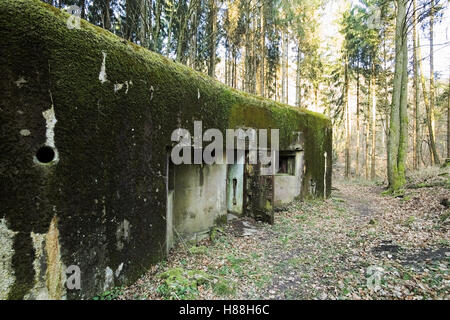 Französischen bunker Ruine in der Nähe Langensoultzbach, Vogesen, Frankreich. Es wurde vor dem zweiten Weltkrieg als Teil der Maginot-Linie gebaut. Stockfoto