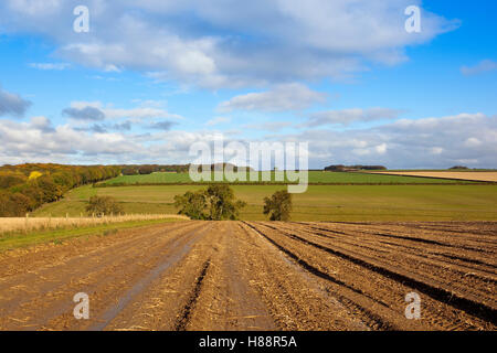 Einem nassen schlammigen Kartoffelfeld und Patchwork-Felder der Yorkshire Wolds Landschaft im Herbst geerntet. Stockfoto