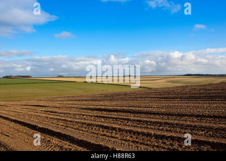 Muster und Textur des nassen schlammigen Boden in einem abgeernteten Kartoffelfeld in die malerische Landschaft der Yorkshire Wolds im Herbst. Stockfoto