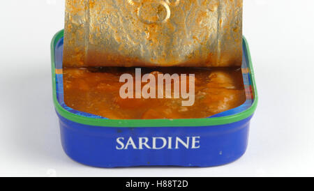 Offene Dosen Sardinen in Tomatensoße Stockfoto