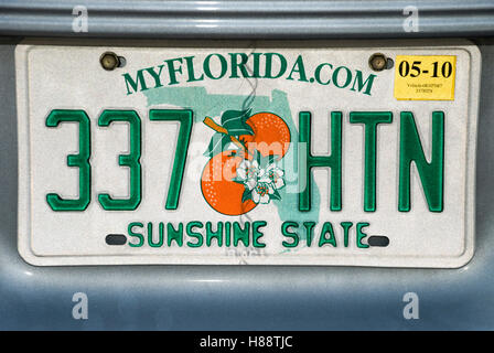 Auto Nummer Platte, Florida, USA Stockfoto