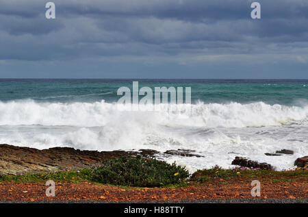 Südafrika, nach Süden fahren: Strand und die Vegetation des Kap der Guten Hoffnung, felsigen Landzunge an der Atlantischen Küste von Kap Halbinsel Stockfoto