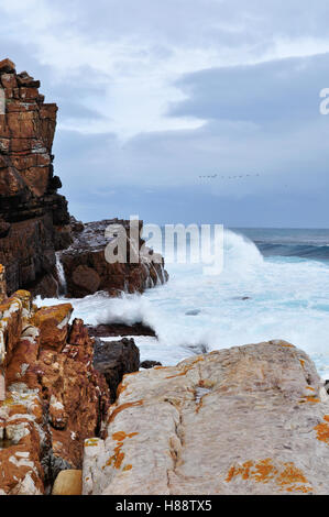 Südafrika, nach Süden fahren: stürmischen Ozean und Wetter an den Felsen von Kap der Guten Hoffnung, felsigen Landzunge an der Atlantikküste der Kap Halbinsel Stockfoto