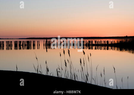 Sonnenuntergang über den großen Jasmunder Bodden, Insel Rügen, Ostseeküste, Mecklenburg-Vorpommern Stockfoto