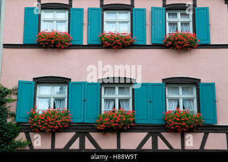 Blumenschmuck auf Fensterbänken im Zentrum historischen Stadt Bamberg, Fränkische Schweiz, Franken, Bayern Stockfoto