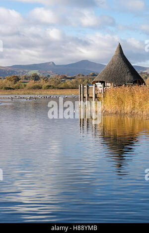 Crannog am Llangorse See, "Llyn Syfaddon" im frühen Morgenlicht, rekonstruiert, Brecon Beacons National Park, Wales, UK Stockfoto