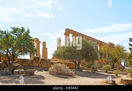 Die alten Tempel in Agrigent, umgeben von Bäumen und Sträuchern, wächst auf der trockenen Erde des südlichen Sizilien, Italien. Stockfoto