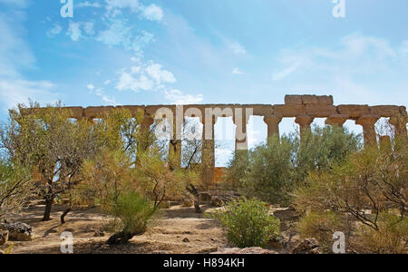 Der große Stein Kolonnade des Juno Lacinia Tempels versteckt hinter Bäumen Mandel- und Olivenbäumen, Agrigento, Sizilien, Italien. Stockfoto