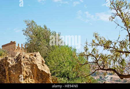 Die Aussicht auf die Kolonnade der Juno Temple hinter den massiven Felsblock auf Gebiet der archäologischen Stätte, Agrigento, Sizilien, Ital Stockfoto