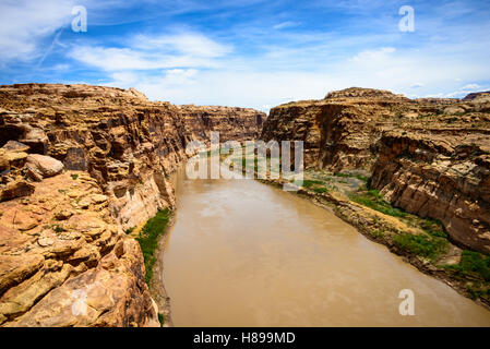 Zwei Pferde, ein braun-weißer Pinto und ein blasseres, grasen auf spärlichem Gras unter einem roten Mesa, Monument Valley Navajo Tribal Park, an der Grenze zwischen Arizona und Utah. Stockfoto