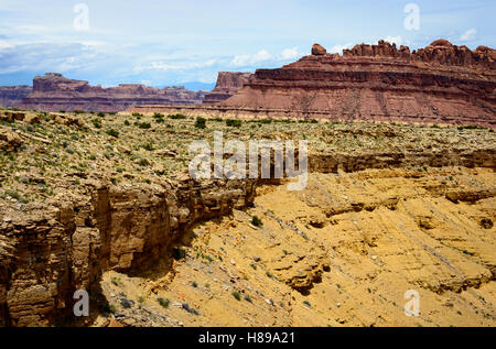 Gefleckte Wolf-Canyon Stockfoto