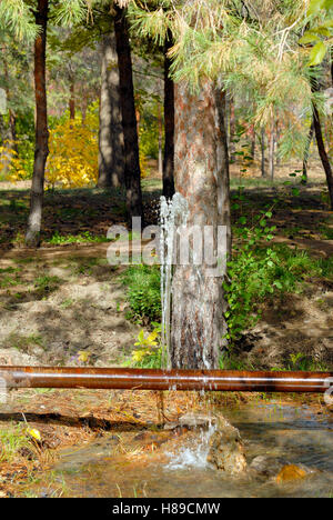 Austritt von Wasser aus einem Riss in eine alte rostige Rohr Stockfoto