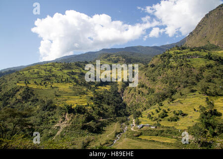 Grüne Berglandschaft mit Reisterrassen auf dem Annapurna Circuit in Nepal Stockfoto