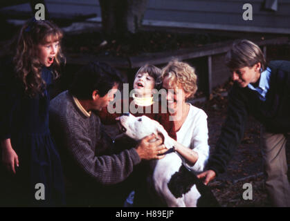 Zurück Nach Hause - Die Unglaubliche Reise, (HOMEWARD BOUND - unglaubliche Reise), USA 1993, Regie; Duwayne Dunham, VERONICA LAUREN, ROBERT HAYS, KEVIN CHEVALIA, KIM GREIST, BENJ THALL, Stichwort: Hund Stockfoto