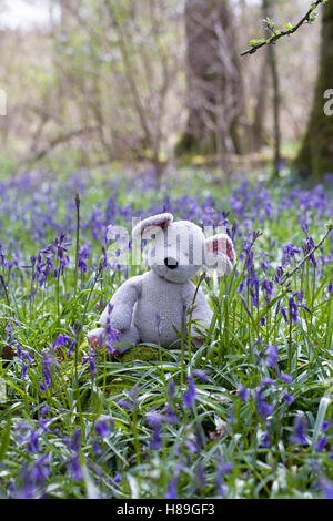 Des Kindes Stofftier Maus sitzen unter den Glockenblumen. Stockfoto