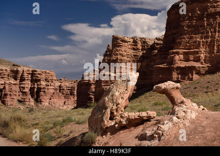 Frosch und Mushroom Rock im Tal der Burgen Tscharyn-Canyon-Nationalpark Kasachstan Stockfoto