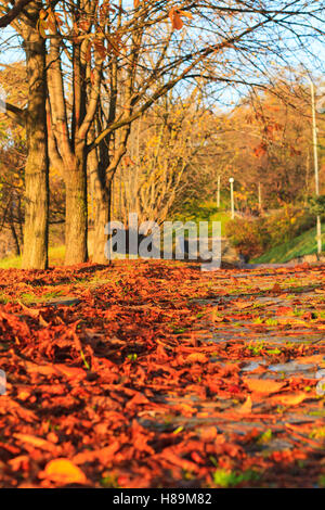 Laub in einem Stadtpark Fußgänger unterwegs Stockfoto